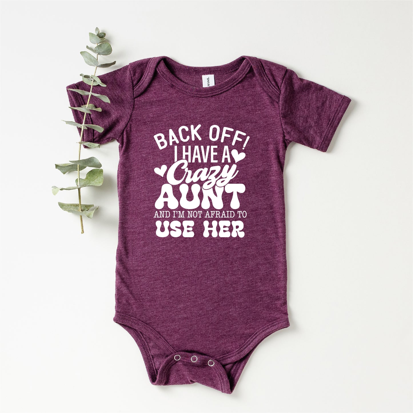 Back Off! I Have a Crazy Aunt and I Know How to Use Her INFANT Tee New